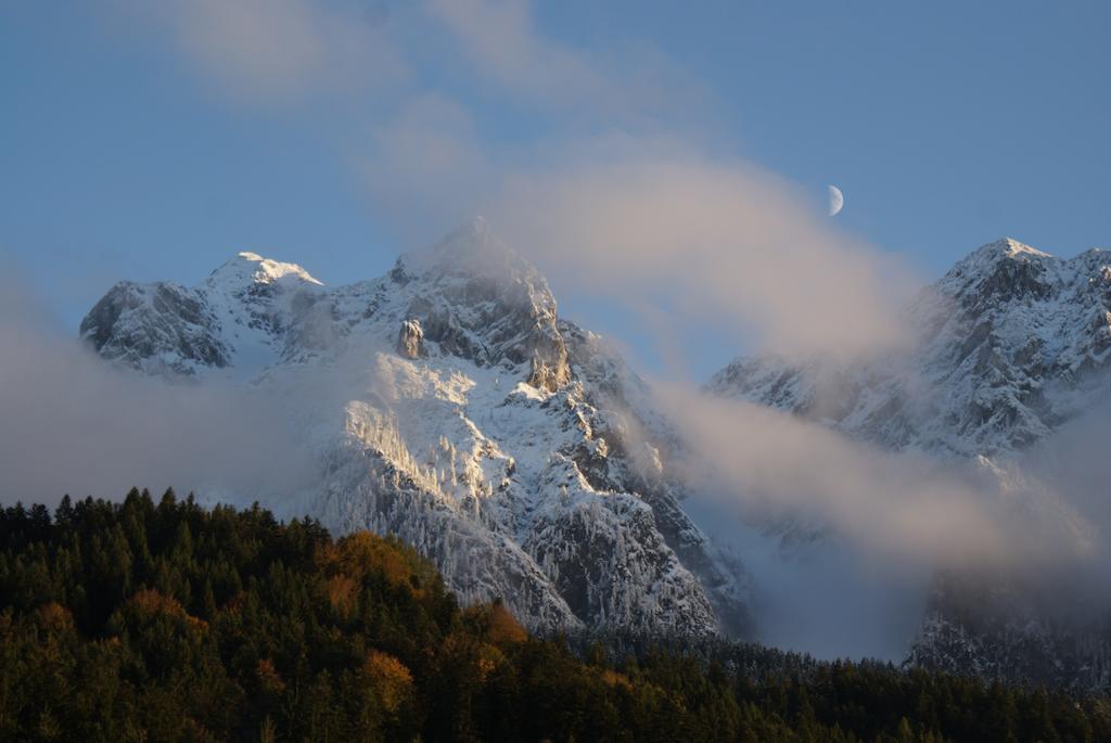 Chaletwohnung Lederer Ebbs Buitenkant foto